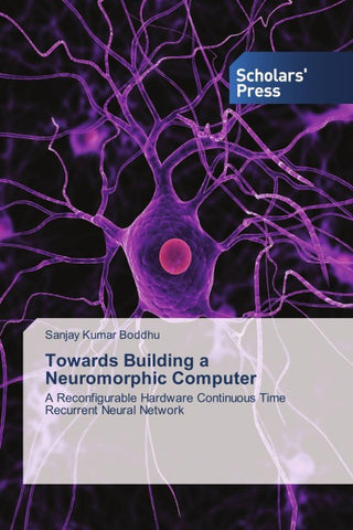 Towards Building a Neuromorphic Computer