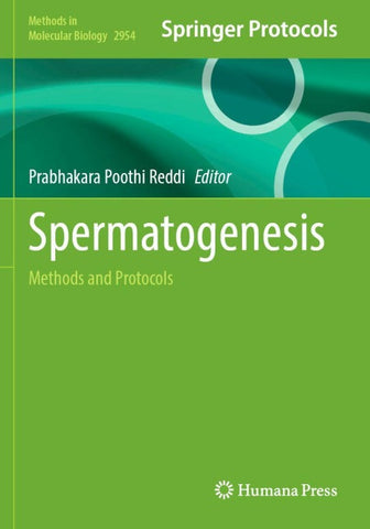 Spermatogenesis