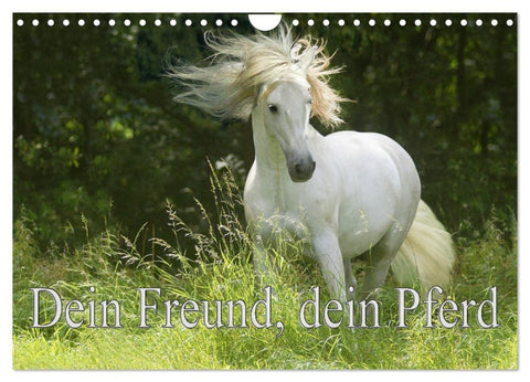 Dein Freund, dein Pferd (Wandkalender 2027 DIN A4 quer), CALVENDO Monatskalender