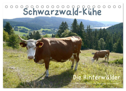 Schwarzwald-Kühe - Die Hinterwälder (Tischkalender 2027 DIN A5 quer), CALVENDO Monatskalender