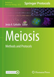 Meiosis
