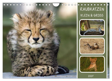 Raubkatzen - groß & klein (Wandkalender 2027 DIN A4 quer), CALVENDO Monatskalender