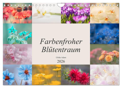Farbenfroher Blütentraum (Wandkalender 2026 DIN A4 quer), CALVENDO Monatskalender