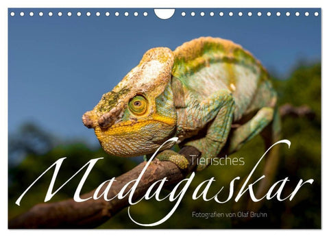 Tierisches Madagaskar (Wandkalender 2027 DIN A4 quer), CALVENDO Monatskalender