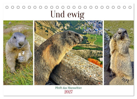 Und ewig pfeift das Murmeltier (Tischkalender 2027 DIN A5 quer), CALVENDO Monatskalender