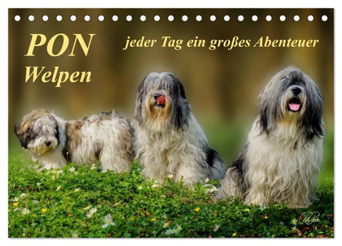 PON - Welpen, jeder Tag ein großes Abenteuer (Tischkalender 2027 DIN A5 quer), CALVENDO Monatskalender