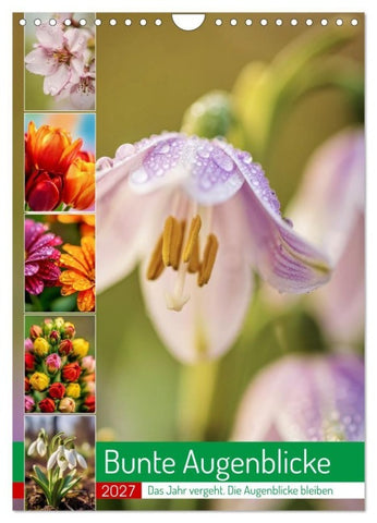 Bunte Augenblicke (Wandkalender 2027 DIN A4 hoch), CALVENDO Monatskalender