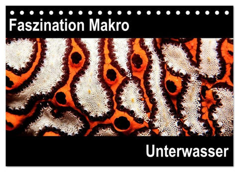 Faszination Makro Unterwasser (Tischkalender 2027 DIN A5 quer), CALVENDO Monatskalender
