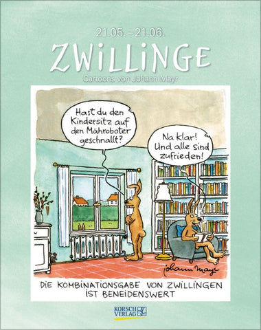 Zwillinge 2027