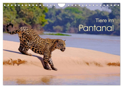 Tiere im Pantanal - Viaje (Wandkalender 2027 DIN A4 quer), CALVENDO Monatskalender