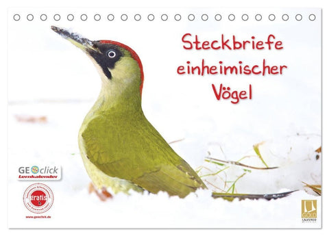 Steckbriefe einheimischer Vögel (Tischkalender 2027 DIN A5 quer), CALVENDO Monatskalender
