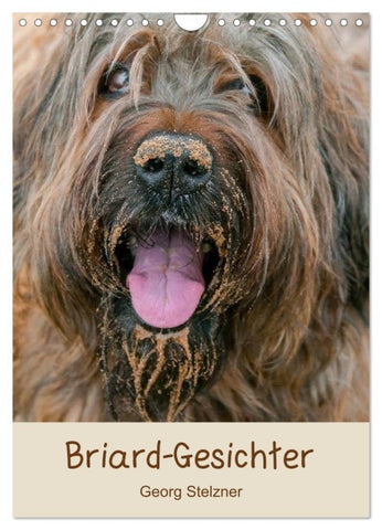Briard-Gesichter (Wandkalender 2026 DIN A4 hoch), CALVENDO Monatskalender