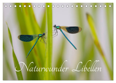 Naturwunder Libellen (Tischkalender 2026 DIN A5 quer), CALVENDO Monatskalender