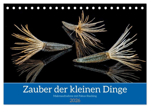 Zauber der kleinen Dinge (Tischkalender 2026 DIN A5 quer), CALVENDO Monatskalender