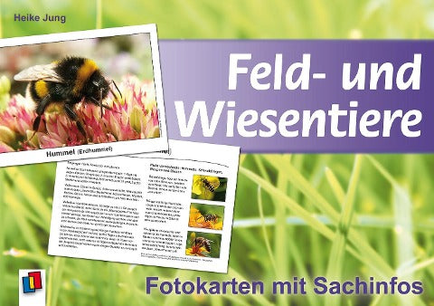 Feld- und Wiesentiere