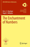 The Enchantment of Numbers