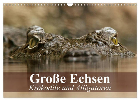 Große Echsen. Krokodile und Alligatoren (Wandkalender 2026 DIN A3 quer), CALVENDO Monatskalender