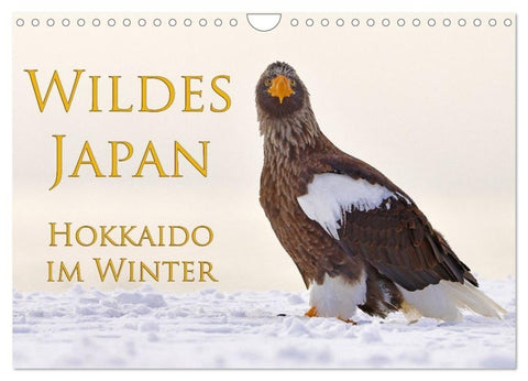 Wildes Japan - Hokkaido im Winter (Wandkalender 2027 DIN A4 quer), CALVENDO Monatskalender