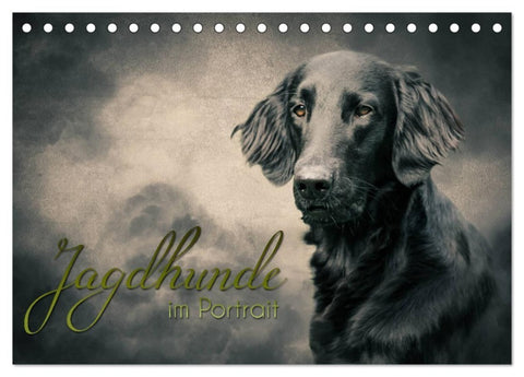 Jagdhunde im Portrait (Tischkalender 2027 DIN A5 quer), CALVENDO Monatskalender