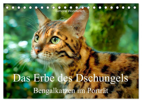 Das Erbe des Dschungels - Bengalkatzen im Porträt (Tischkalender 2027 DIN A5 quer), CALVENDO Monatskalender