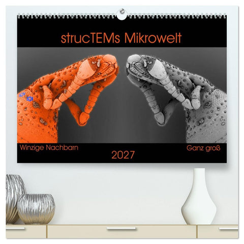 strucTEMs Mikrowelt - Winzige Nachbarn ganz groß (hochwertiger Premium Wandkalender 2027 DIN A2 quer), Kunstdruck in Hochglanz
