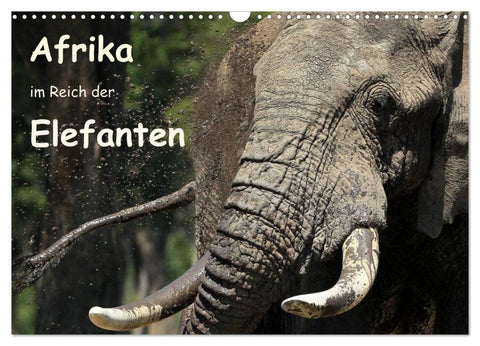 Afrika - im Reich der Elefanten (Wandkalender 2026 DIN A3 quer), CALVENDO Monatskalender