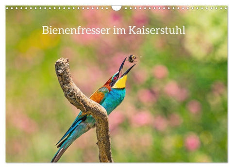 Bienenfresser im Kaiserstuhl (Wandkalender 2027 DIN A3 quer), CALVENDO Monatskalender