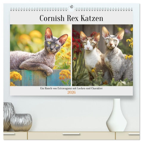 Cornish Rex Katzen. Ein Hauch von Extravaganz mit Locken und Charakter (hochwertiger Premium Wandkalender 2026 DIN A2 quer), Kunstdruck in Hochglanz