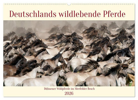 Deutschlands wildlebende Pferde (Wandkalender 2026 DIN A2 quer), CALVENDO Monatskalender