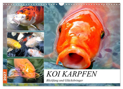 Koi Karpfen. Blickfang und Glücksbringer (Wandkalender 2027 DIN A3 quer), CALVENDO Monatskalender