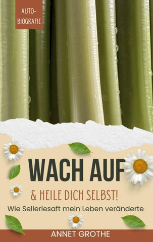 Wach auf & heile Dich selbst!
