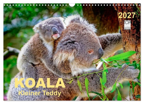 Koala - kleiner Teddy (Wandkalender 2027 DIN A3 quer), CALVENDO Monatskalender