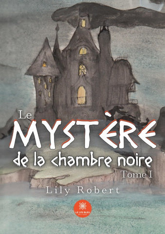 Le mystère de la chambre noire