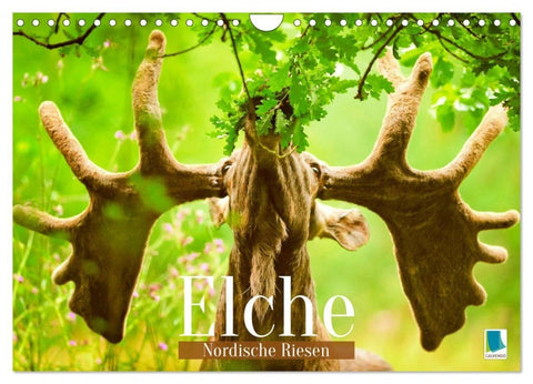 Elche: Nordische Riesen (Wandkalender 2027 DIN A4 quer), CALVENDO Monatskalender