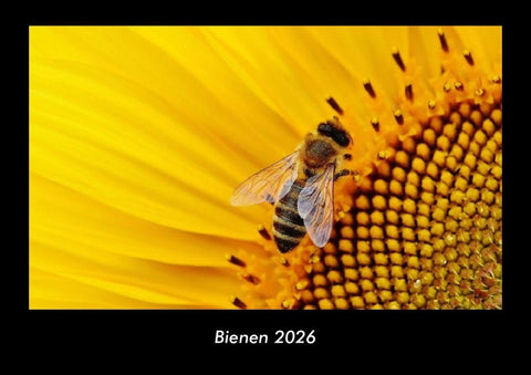 Bienen 2026 Fotokalender DIN A3