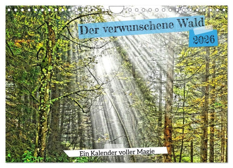 Verwunschene Waldträume: Ein Kalender voller Magie (Wandkalender 2026 DIN A4 quer), CALVENDO Monatskalender