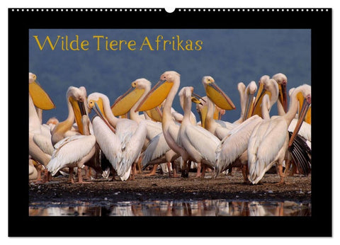 Wilde Tiere Afrikas (Wandkalender 2026 DIN A2 quer), CALVENDO Monatskalender