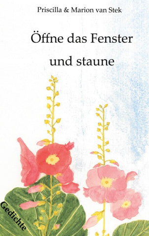 Öffne das Fenster und staune