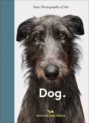 New Photography of the Dog