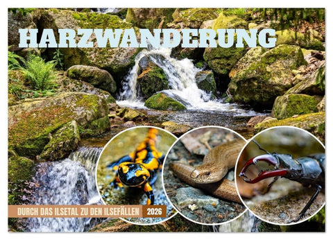 Harzwanderung-Durch das Ilsetal zu den Ilsefällen (Wandkalender 2026 DIN A2 quer), CALVENDO Monatskalender