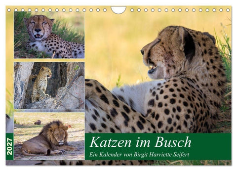 Katzen im Busch (Wandkalender 2027 DIN A4 quer), CALVENDO Monatskalender