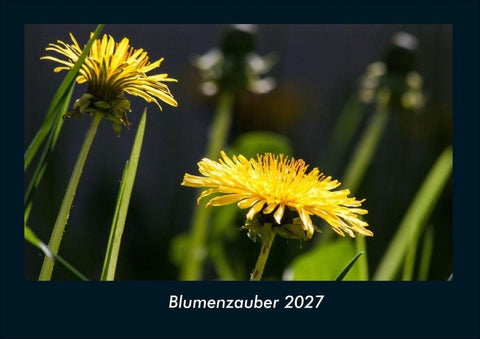 Blumenzauber 2027 Fotokalender DIN A4