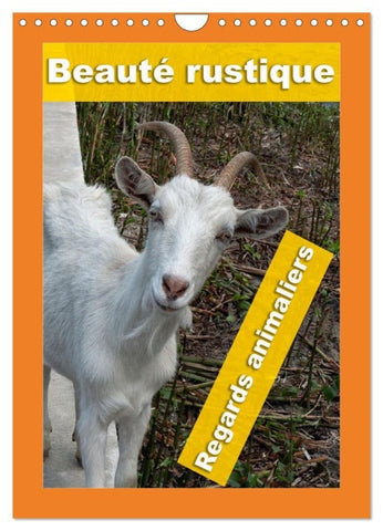 Beauté rustique Regards animaliers (Calendrier mural 2027 DIN A4 horizontal), CALVENDO calendrier mensuel