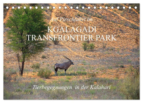 Auf Pirschfahrt im Kgalagadi Transfrontier Park (Tischkalender 2027 DIN A5 quer), CALVENDO Monatskalender