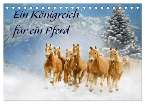 Ein Königreich für ein Pferd (Tischkalender 2027 DIN A5 quer), CALVENDO Monatskalender