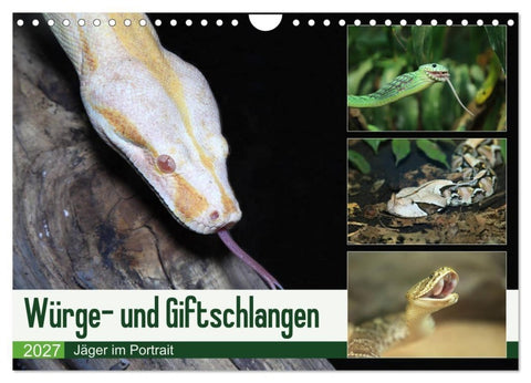 Würge- und Giftschlangen (Wandkalender 2027 DIN A4 quer), CALVENDO Monatskalender