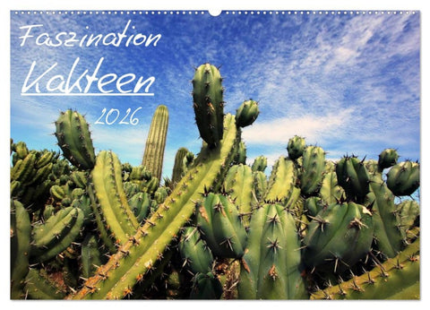 Faszination Kakteen (Wandkalender 2026 DIN A2 quer), CALVENDO Monatskalender