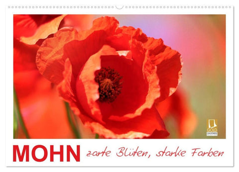 Mohn, zarte Blüten, starke Farben (Wandkalender 2027 DIN A2 quer), CALVENDO Monatskalender