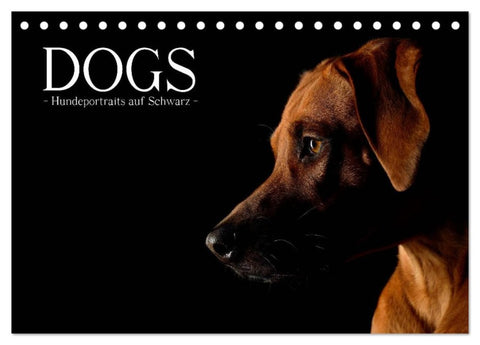 Dogs (Tischkalender 2026 DIN A5 quer), CALVENDO Monatskalender