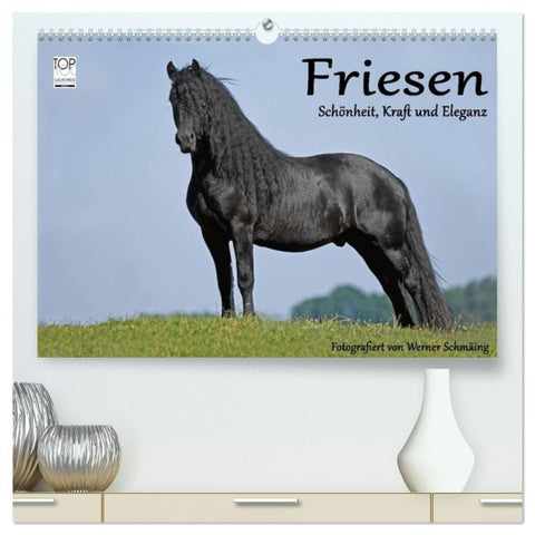 Friesen - Schönheit, Kraft und Eleganz (hochwertiger Premium Wandkalender 2027 DIN A2 quer), Kunstdruck in Hochglanz
